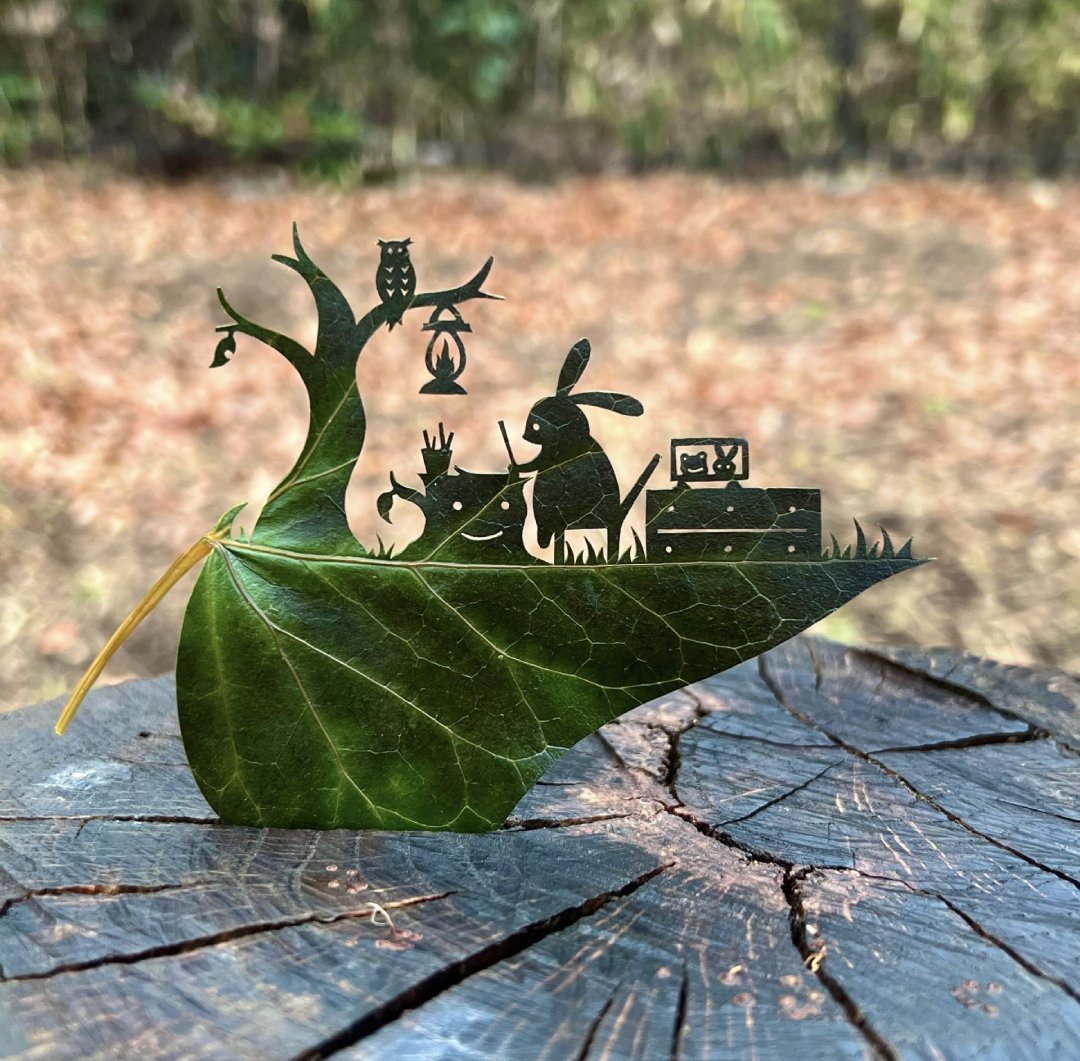 Creating a Gentle World on a Little Leaf